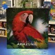 Life of Amazonia - Super Meeple & Bad Comet