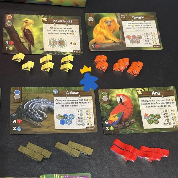 Life of the Amazonia - Super Meeple & Bad Comet