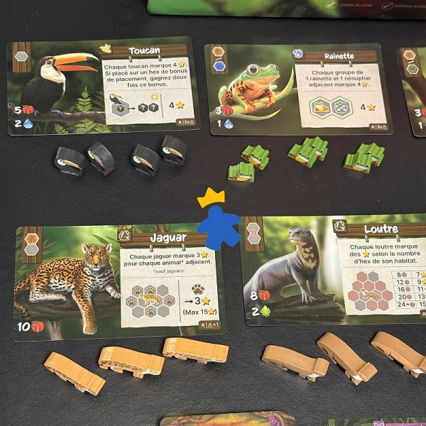 Life of the Amazonia - Super Meeple & Bad Comet