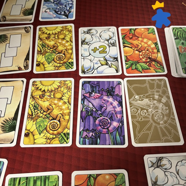 Coloretto - Oya & Abacus Spiele