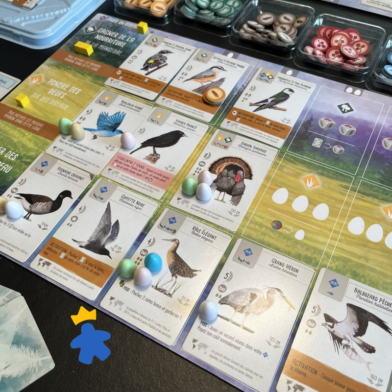 Wingspan - Top jeu de stratégie, de collection et de combos de cartes