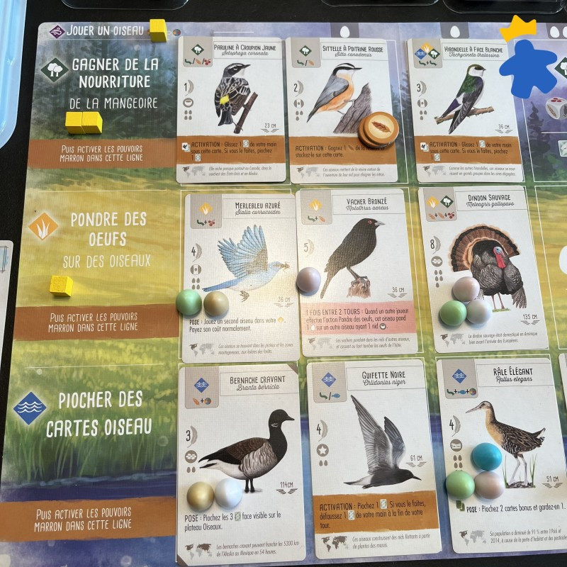 Wingspan - Top jeu de stratégie, de collection et de combos de cartes