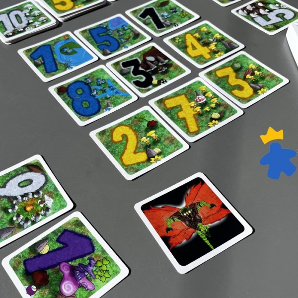 Mycélium - Sofa Édition - Nouvelle Edition