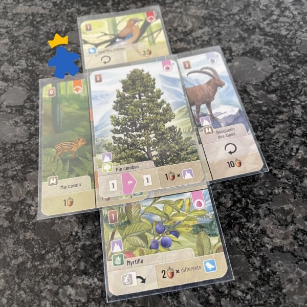 Forêt Mixte extension Alpes - Lookout Games