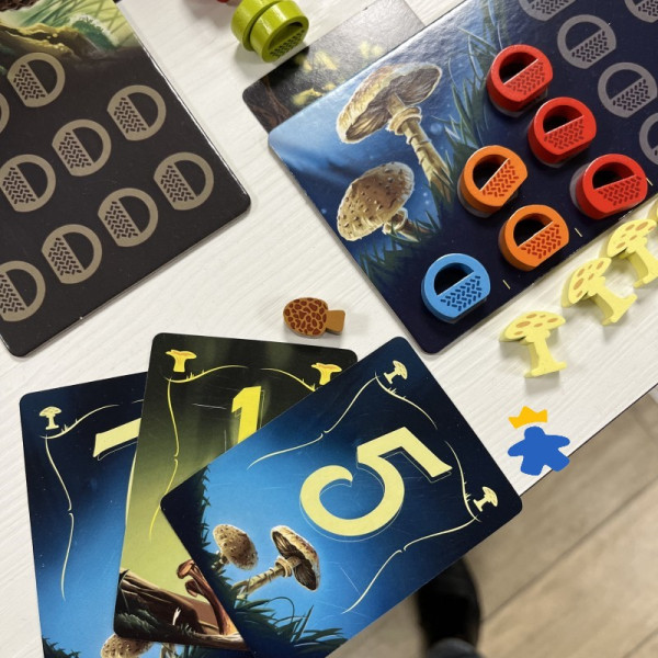 Wonder Woods - Blue Orange