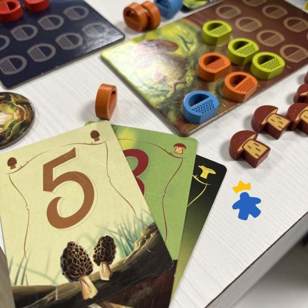 Wonder Woods - Blue Orange