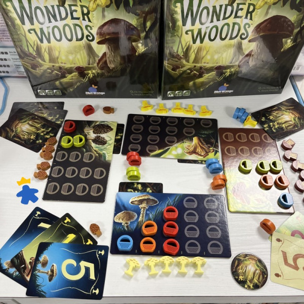 Wonder Woods - Blue Orange