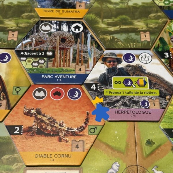 Sanctuary - Feuerland & Super Meeple