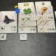 Carnuta - Repos Production