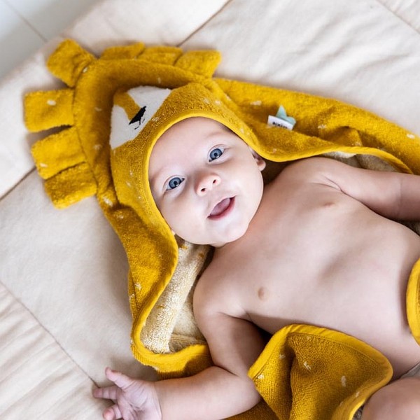 Cape de bain 75x75cm Mr Lion - Trixie