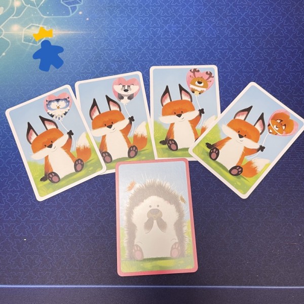 Jeu de Pique-Nique - Auzou