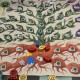 The Voynich Puzzle - Salt & Pepper Games, Frosted Games et Pixie Games - Précommande disponibilité septembre 2026
