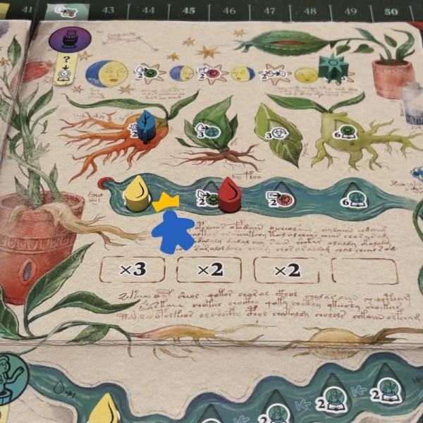 The Voynich Puzzle - Salt & Pepper Games, Frosted Games et Pixie Games - Précommande disponibilité septembre 2026